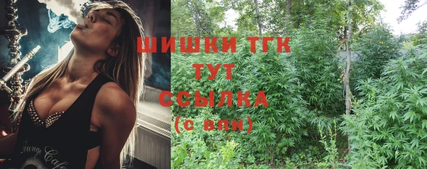 шишки Бронницы