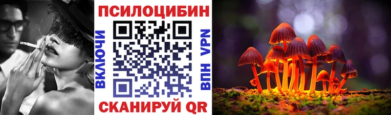 цена   Бийск  Псилоцибиновые грибы MAGIC MUSHROOMS 